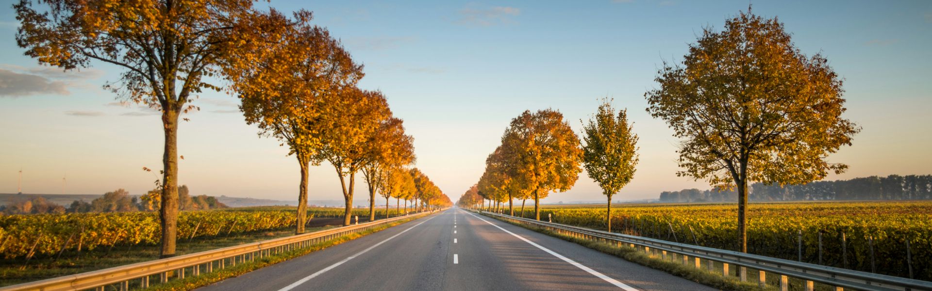 Straße mit Bäumen in herbstlicher Landschaft bei Sonnenaufgang.